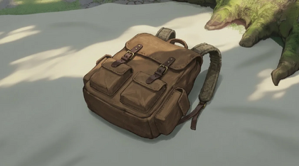 Backpack