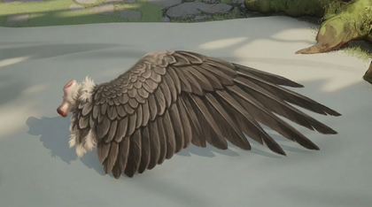 Bird Wing