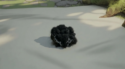 Black Mold Clump