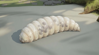 Bloated Larva