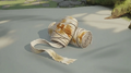 Thumbnail for version as of 12:11, 25 July 2026