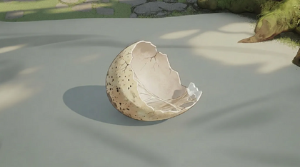 Broken Eggshell Fragment