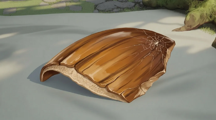 Carapace Shard