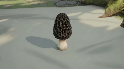 Cinder Morel