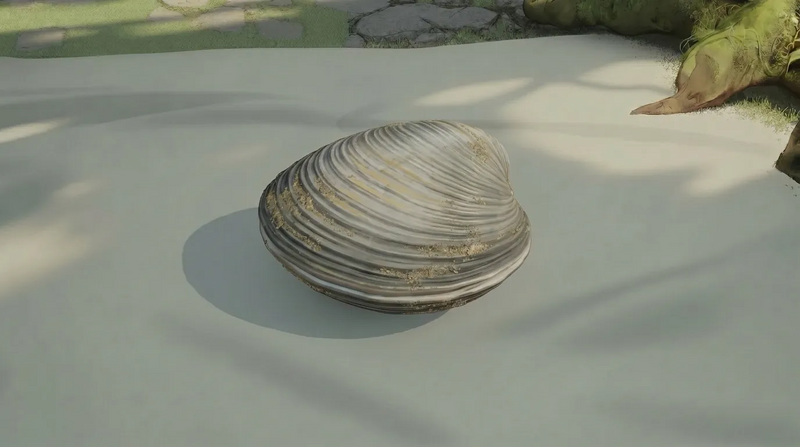 File:Item clam meat.webp