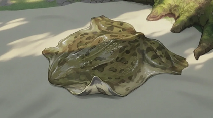 Clammy Hide