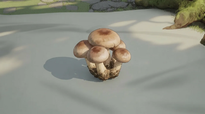 Common Mushroom Cluster