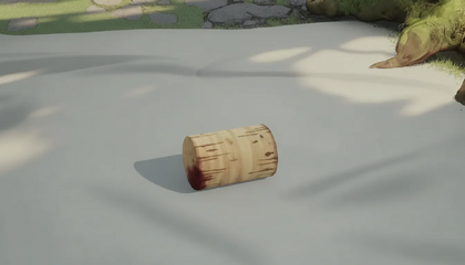 Cork Stopper