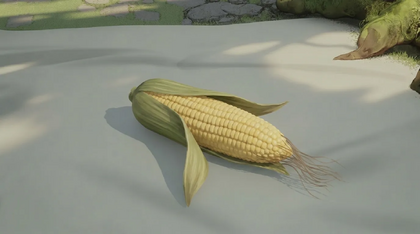 Corn Cob