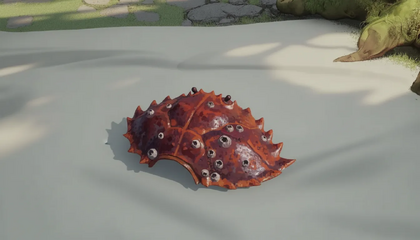 Crustacean Carapace Section