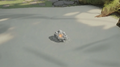 Thumbnail for version as of 12:00, 25 July 2026