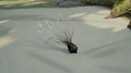 Thumbnail for version as of 11:59, 25 July 2026
