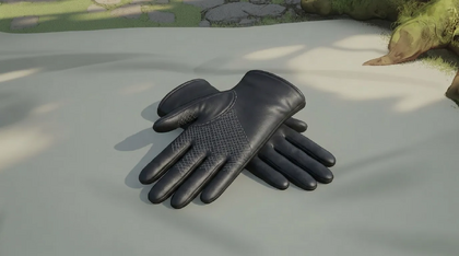 Gloves of Thievery