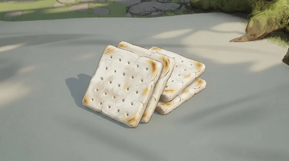 Hardtack Biscuits