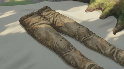 Hide Leggings