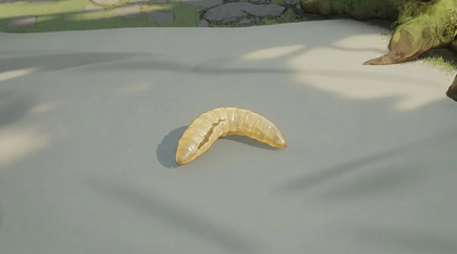 Larva Husk