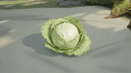 Lettuce