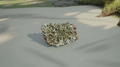 Thumbnail for version as of 12:09, 25 July 2026