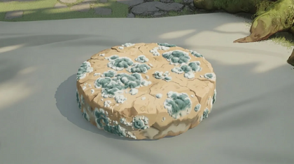 Moldy Bread