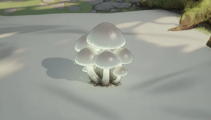 Mooncap Mushroom Cluster