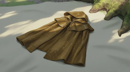 Oilskin Cloak