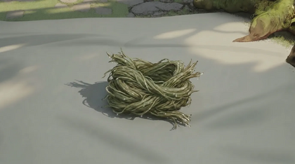 Plant Fiber