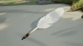 Thumbnail for version as of 12:09, 25 July 2026