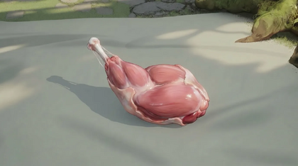 Rabbit Hind Leg
