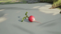 Thumbnail for version as of 12:17, 25 July 2026
