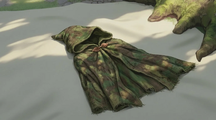 Ranger's Cloak