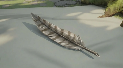Raptor Feather