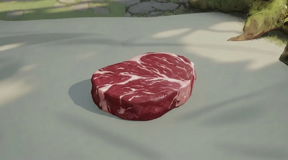 Raw Boar Meat