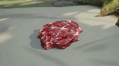 Raw Deer Meat