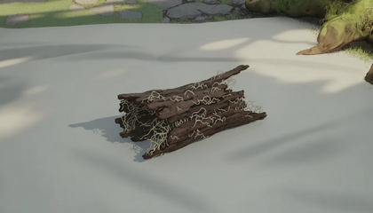 Rotten Wood
