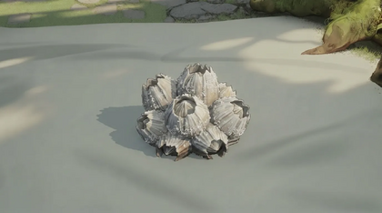Salt-Crusted Barnacle