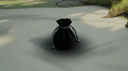 Shadow Holding Pouch