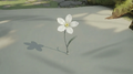 Thumbnail for version as of 12:16, 25 July 2026