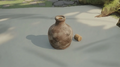 Thumbnail for version as of 12:06, 25 July 2026