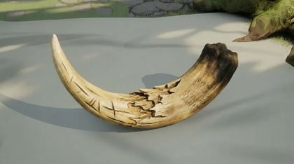 Snaggletusk's Broken Tusk