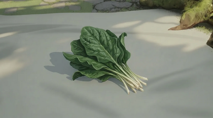 Spinach