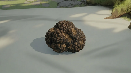 Truffle