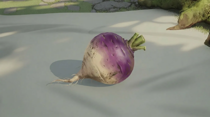 Turnip
