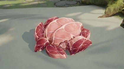 Turtle Meat