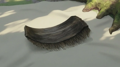 Whale Baleen