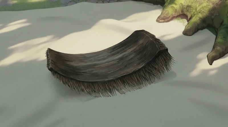 File:Item whale baleen.webp
