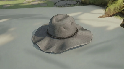 Wide Brim Felt Hat