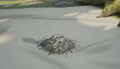 Thumbnail for version as of 12:14, 25 July 2026