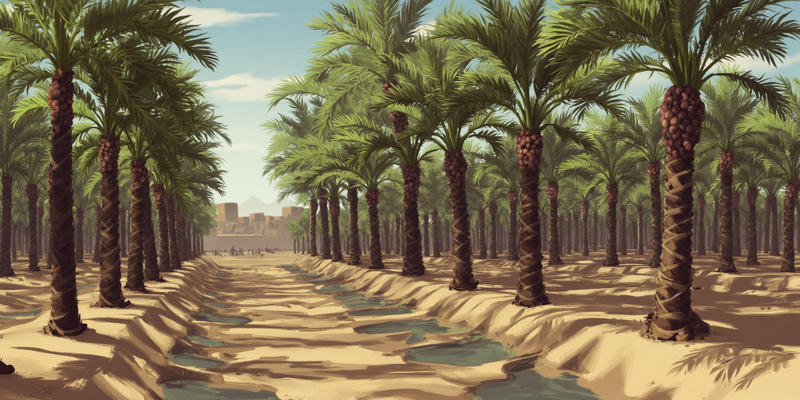 File:Region-kefa-2.png