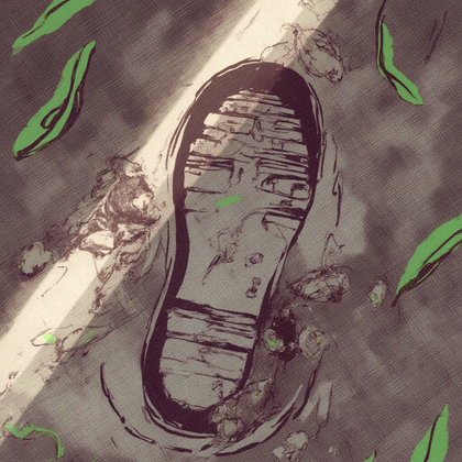 Investigation