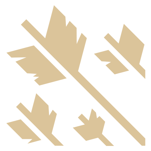 File:Slot ranged off hand.svg
